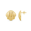 Seashell Studs